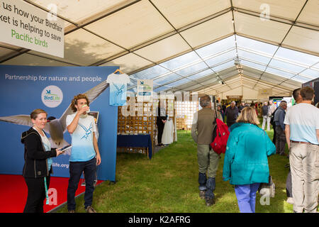 Bird Fair at Rutland water, the largest environmental festival in Europe, attracting over 20,000 visitors a year. Stock Photo