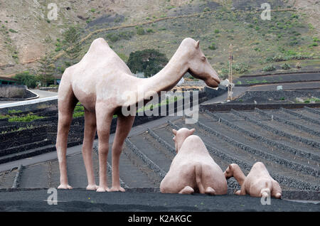 Giant sized male, female and baby camels have been sculpted out of red picón stone, collectively they weigh in the region of 3,000 kilos. Stock Photo