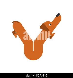 Letter Y is dog. pet font. Dachshund alphabet. Lettering home animal Stock Vector