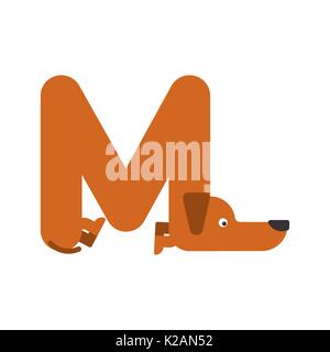 Letter M is dog. pet font. Dachshund alphabet. Lettering home animal Stock Vector