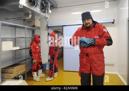 University of Milano Bicocca (Italy), EuroCold laboratory for the conservation and study of ice cores from Antarctica and glaciers, to allow studies on the global atmosphere and climate change. Valter Maggi, associate professor of climatology and Italian head of the project Epica (European project for ice coring in Antarctica) Stock Photo