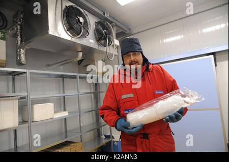University of Milano Bicocca (Italy), EuroCold laboratory for the conservation and study of ice cores from Antarctica and glaciers, to allow studies on the global atmosphere and climate change. Valter Maggi, associate professor of climatology and Italian head of the project Epica (European project for ice coring in Antarctica) Stock Photo