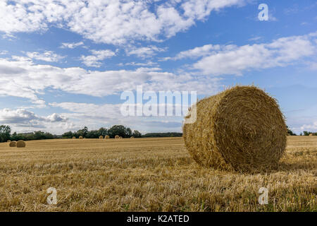 Round yellow hay bale in a large field, Borkop, Denmark, Augusr 27, 2017 Stock Photo