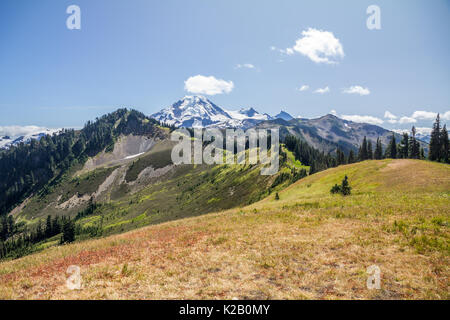 View of Mt Baker in the North Cascades of Washington State - just south of Vancouver, BC - seen from the Skyline Divide hiking trail. Stock Photo
