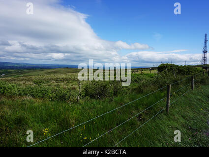 Sperrin Mountains Sperrins County Tyrone Northern Ireland Scenic Route Fence and Wild Flowers landscape Stock Photo