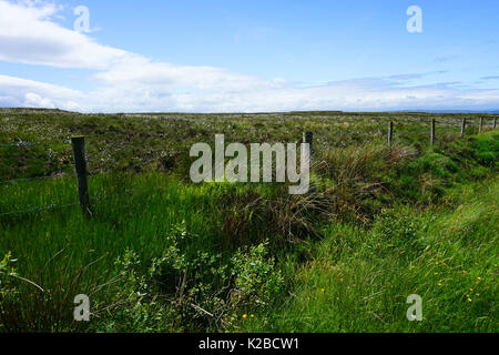 Sperrin Mountains Sperrins County Tyrone Northern Ireland Scenic Route Fence and Wild Flowers landscape Stock Photo