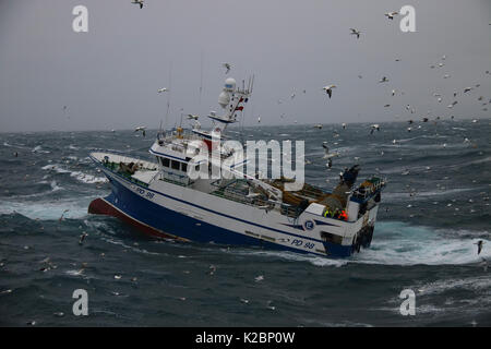 Fishing vessel 'Harvester' battling in a winter storm on the North Sea, February 2016. Property released. Stock Photo