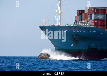 Waves crashing against the bow of the container ship 'Mol Distinction', off Mirissa, Sri Lanka, Indian Ocean. All non-editorial uses must be cleared individually. Stock Photo