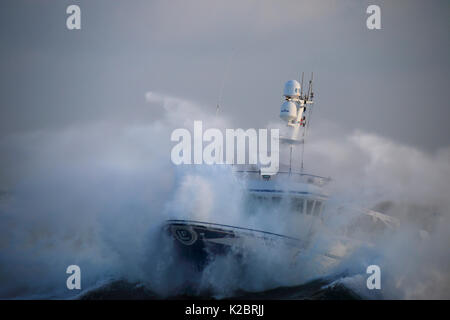 Fishing vessel 'Harvester' punching through heavy weather on the North Sea, Dec 2014. Property released.  All non-editorial uses must be cleared individually. Stock Photo