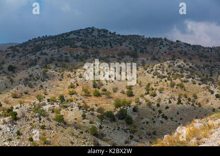 Mountain landscape, Mount Hermon, Golan Heights, Israel, November. Stock Photo