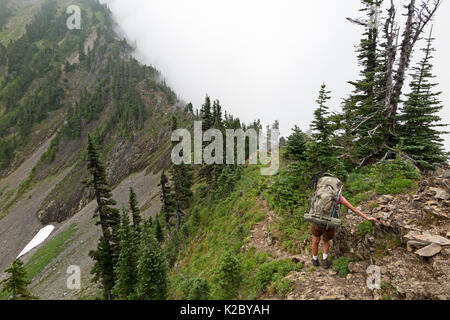Hiker on the Cat Walk between the High Divide and The Bailey Range, Olympic National Park, Washington, USA, August 2014. Model released. Stock Photo