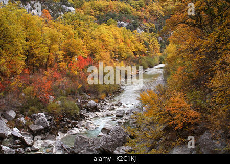 River in the Verdon Gorge / Gorges du Verdon, Verdon Natural Regional Park, Alpes de Haute Provence,  Provence, France, October 2007. Stock Photo