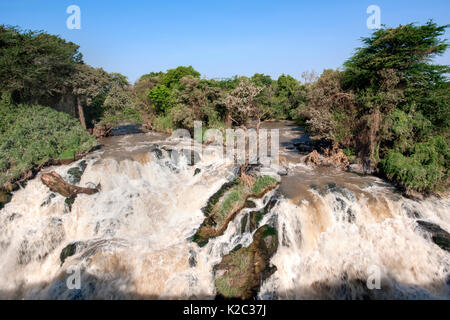 Awash river waterfall, Awash National Park, Awash National Park, Afar ...