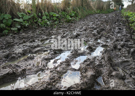 a close up low down rain muddy waterlogged footprints in public footpath way with man and his dog walking hiking Stock Photo
