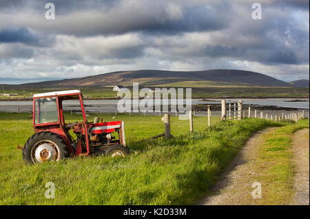 Old Massey Ferguson tractor on croft, Baile Mor, North Uist, Hebrides, Scotland, UK, June. Stock Photo