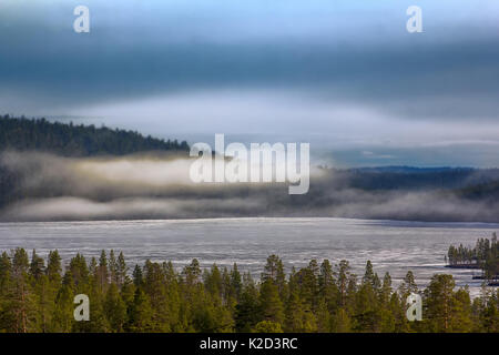 Light-coniferous taiga (predominance of Lapland pine, Pinus friesiana), boreal forest in Scandinavia. Misty spring morning in may, forest-lake landsca Stock Photo