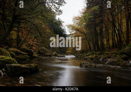The River (Afon) Llugwy in autumn, near Betws-y-coed, Wales, May 2014 Stock Photo