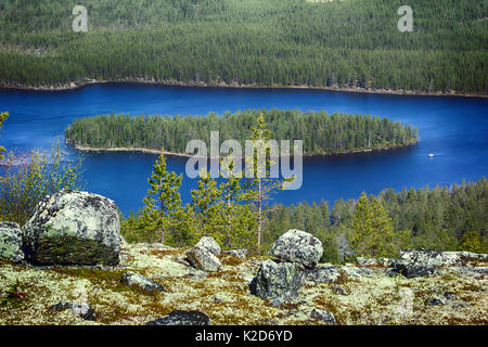 Light-coniferous taiga (predominance of Lapland pine, Pinus friesiana), boreal forest in Scandinavia. Misty spring morning in may, forest-lake landsca Stock Photo