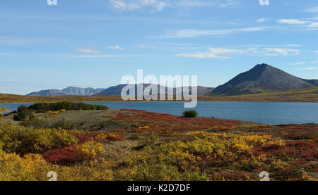 Tundra landscape with river, Sewards Peninsula, Nome, Alaska, USA, September 2015 Stock Photo