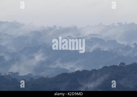 Tropical rainforest landscape with mist,  Barro Colorado Island, Gatun Lake, Panama Canal, Panama. Stock Photo