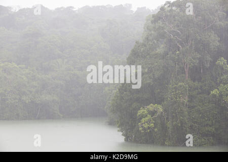 Tropical rainforest scene with rain, Gatun Lake, Barro Colorado Island, Gatun Lake, Panama Canal, Panama, Stock Photo