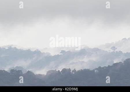 Tropical rainforest landscape with mist,  Barro Colorado Island, Gatun Lake, Panama Canal, Panama. Stock Photo