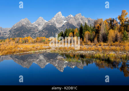 Teton Range reflected in still waters of  Snake River at Schwabacher Landing, Grand Teton National Park, Wyoming, USA. September 2015. Stock Photo