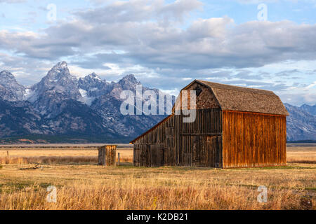 Teton range and barn on Thomas Murphy Homestead, Grand Teton National Park, Wyoming, USA. September 2015. Stock Photo