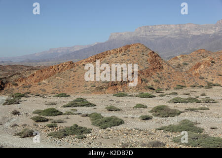 Jabal Samhan, mountains and wadi (dry river bed), Oman, December Stock Photo