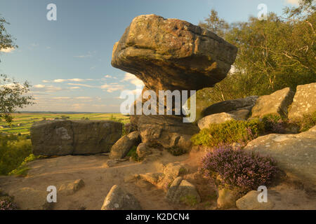 Brimham rocks in the Nidderdale area of North Yorkshire, England, UK. August 2015. Stock Photo