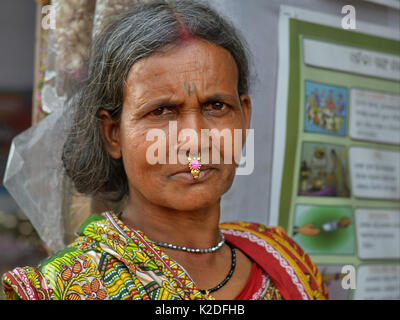 Elderly Indian Adivasi woman (tribal woman) with facial tattoo, tribal side bun and distinctive gold-and-gemstone nose-septum jewellery Stock Photo