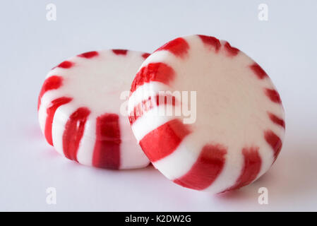 Hard peppermint candy Stock Photo