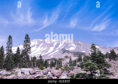 Mt. Shasta on a glorious sunny day is framed by fir trees on rocky scree on the bottom and above by dramatic cirrus clouds in a deep blue sky. Stock Photo