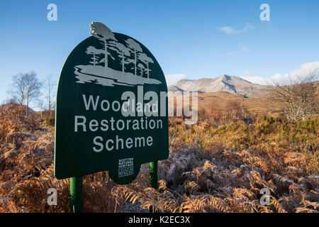 Scottish Natural Heritage  Woodland Restoration Scheme sign on Beinn Eighe National Nature Reserve, Kinlochewe, Wester Ross, Scotland, November 2014. Stock Photo