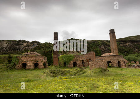 Brick kilns at the derelict Porth Wen brickworks, near Bull Bay, Anglesey, Wales, UK October 2012 Stock Photo