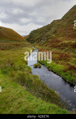 Moorland habitat in autumn with stream, Island of Jura, Scotland,UK, September Stock Photo