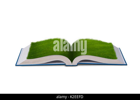 Open book in paper recycling concept - 3d rendering Stock Photo