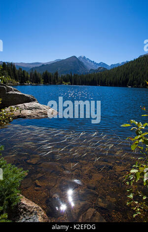 Bear Lake, Rocky Mountain National Park, Colorado, USA, September 2013. Stock Photo