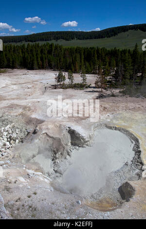 Sulphur Caldron in the Mud Volcano Area, Hayden Valley, Yellowstone National Park, Wyoming, USA, June 2015 Stock Photo