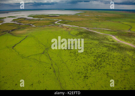 Aerial view of the edge of Lake Urema with animal trails, Gorongosa National Park, Mozambique. July 2014 Stock Photo