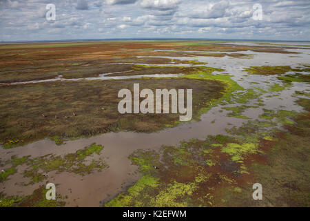 Aerial view of the edge of Lake Urema, Gorongosa National Park, Mozambique. June 2016 Stock Photo