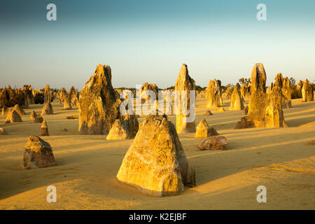 The Pinnacles,  limestone formations.  Nambung National Park, near Cervantes, Western Australia, November 2015. Stock Photo