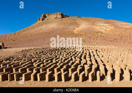 Adobe mud bricks drying in the sun. Bolivia. Stock Photo