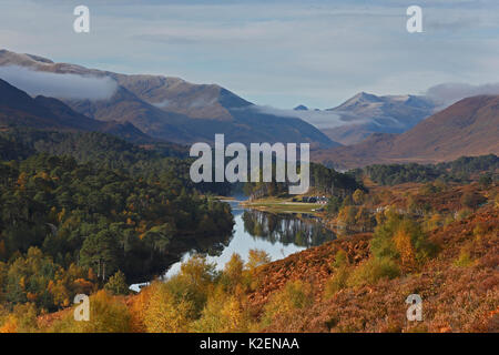 Glen Affric in autumn, Highlands, Scotland, UK, October 2012. Stock Photo