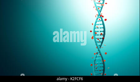 DNA Strands with Hemoglobin cell on abstract background Stock Photo