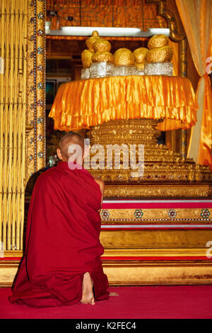 Monk praying in front of shrine with sacred Buddha figures covered by gold leaves in buddhist temple Hpang Daw U on Inle lake in Myanmar. Stock Photo