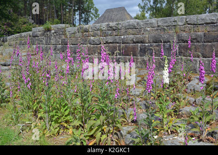 Cragside, Northumberland Stock Photo