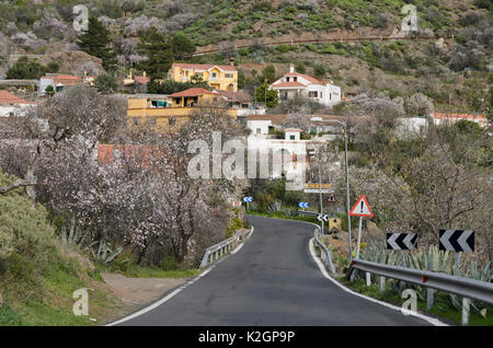 Ayacata, Gran Canaria, Spain Stock Photo