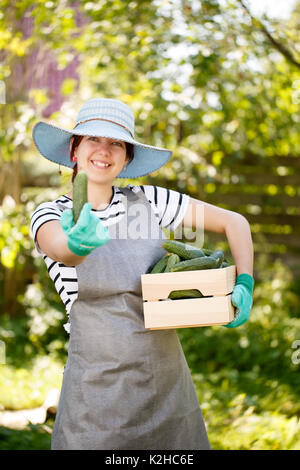 Brunette agronomist in with cucumbers box Stock Photo