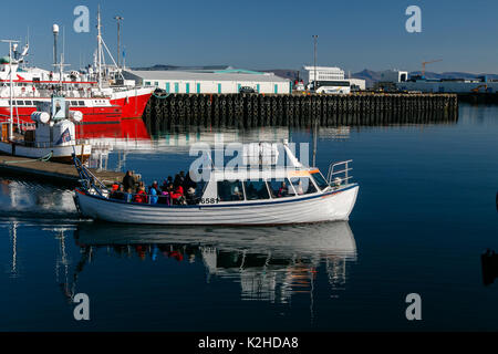Small boat full of people is leaving the waters of Reykjavik harbor. Stock Photo
